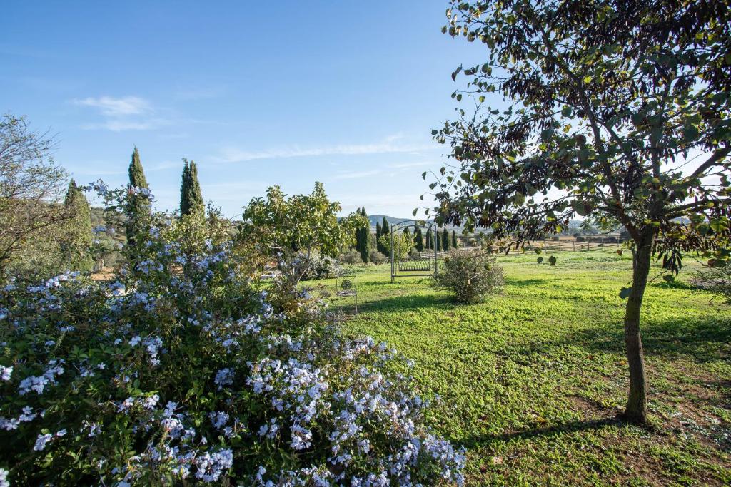 Vonkajšia záhrada v ubytovaní Angela - Agriturismo La Valentina