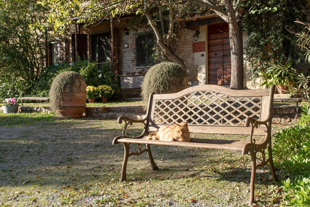 Vonkajšia záhrada v ubytovaní Angela - Agriturismo La Valentina