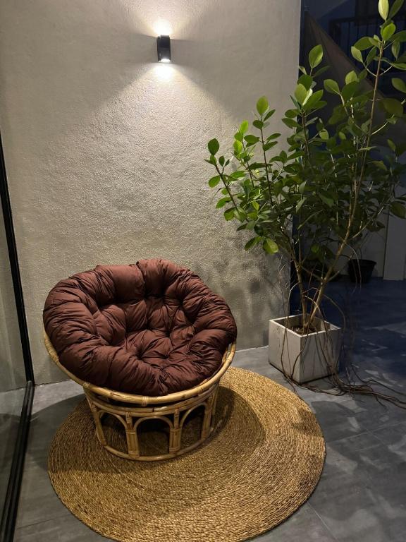 a brown chair sitting next to two potted plants at Unit One by Hideout Lounge in Kandy