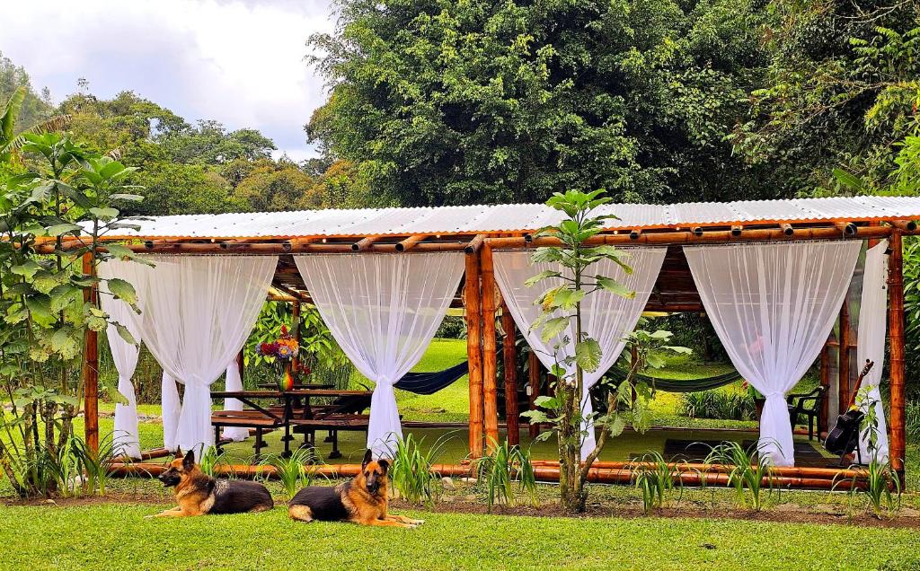 Zahrada ubytování Ecolodge El Puente