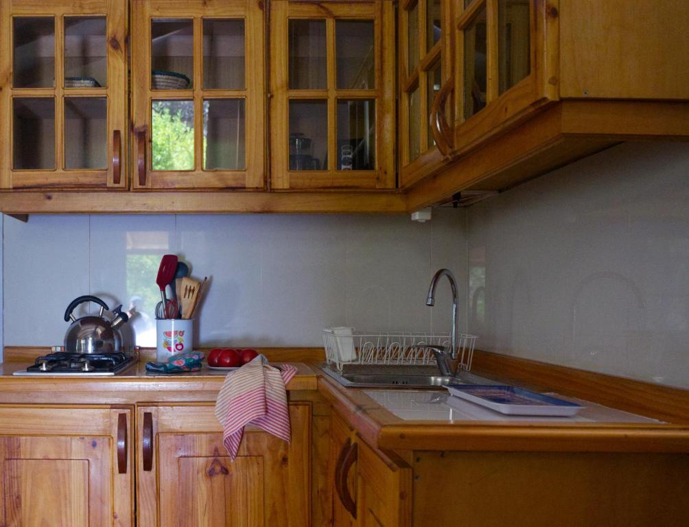 Kuchyň nebo kuchyňský kout v ubytování Cabañas El Albaricoque Cochiguaz