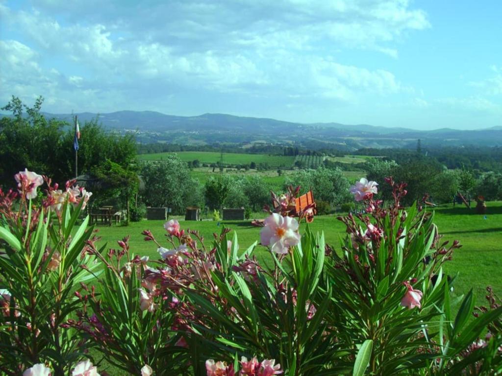 Príroda v okolí farmy