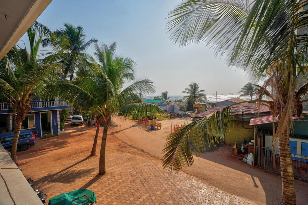 a group of palm trees on a dirt road at Roseal Beach Front in Baga