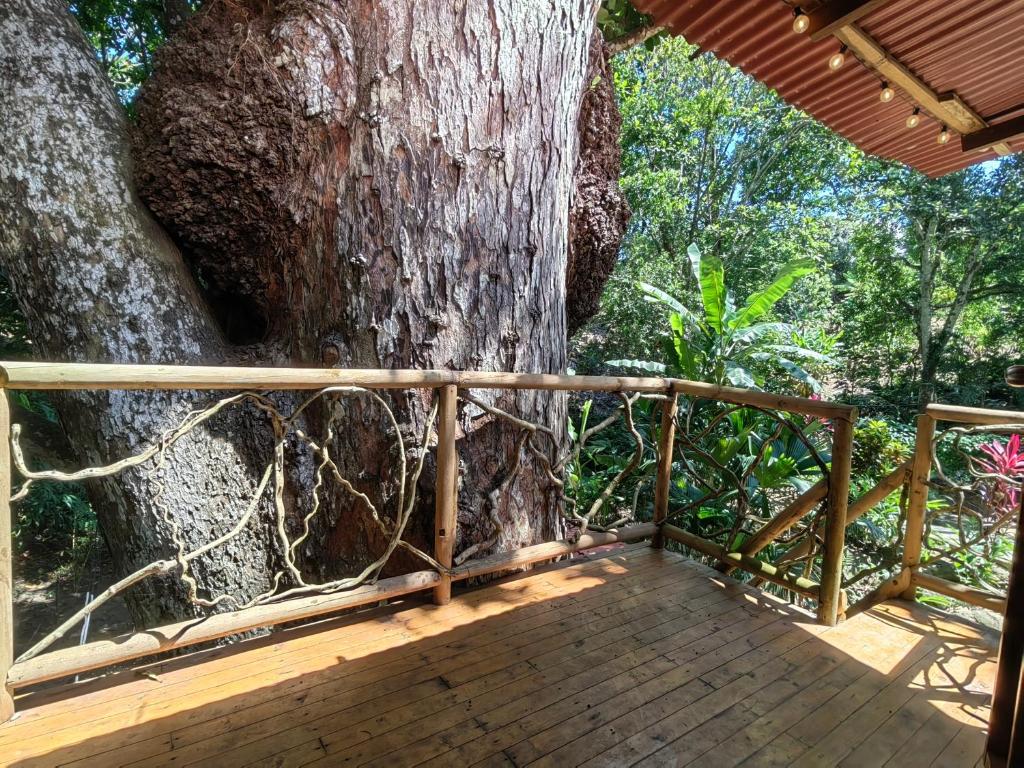 Balkón nebo terasa v ubytování Treehouse Tayrona