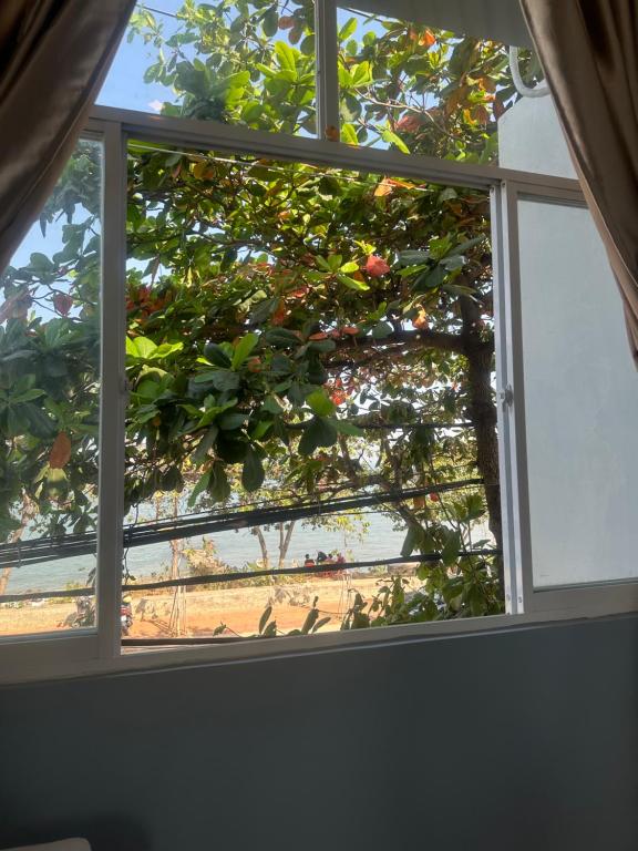 Zahrada ubytování Vung Tau Villa mini sát biển - Gitico Homestay