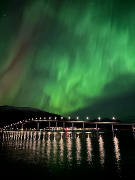 un ponte con l'aurora boreale verde nel cielo di Hus med havutsikt i vakre Vesterålen - naboen til Lofoten a Sortland