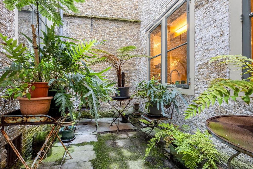 Zahrada ubytování B&B In de Prinsenstraat