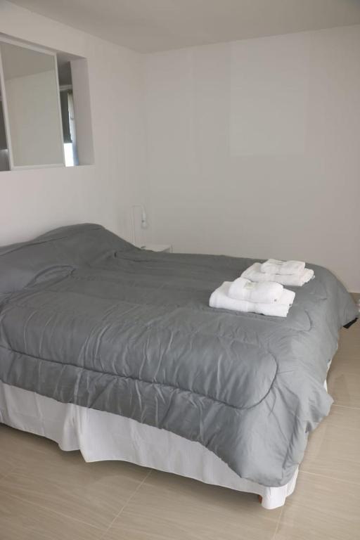 Dpto MIRADOR DEL RIO