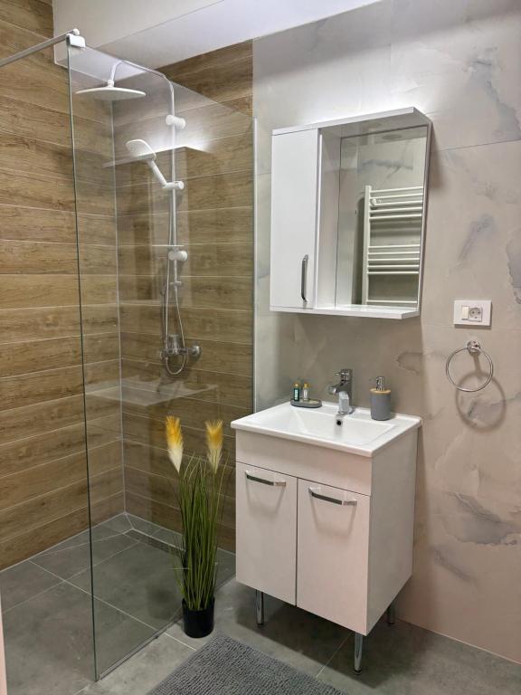 Koupelna v ubytování Apartment N02