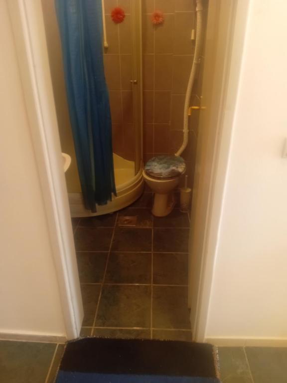 巴奇卡帕兰卡Sindi Apartman的一间带卫生间和淋浴的浴室