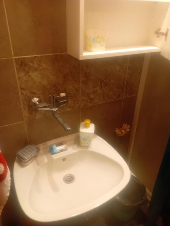 巴奇卡帕兰卡Sindi Apartman的带架子的浴室内的白色水槽