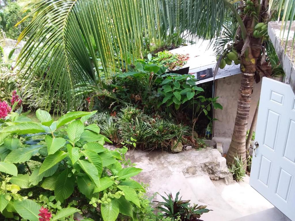 Un jardín fuera de Port Antonio Brian's Beach House