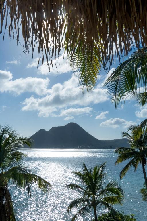 a view of a body of water with palm trees at Studio GAP in Le Diamant