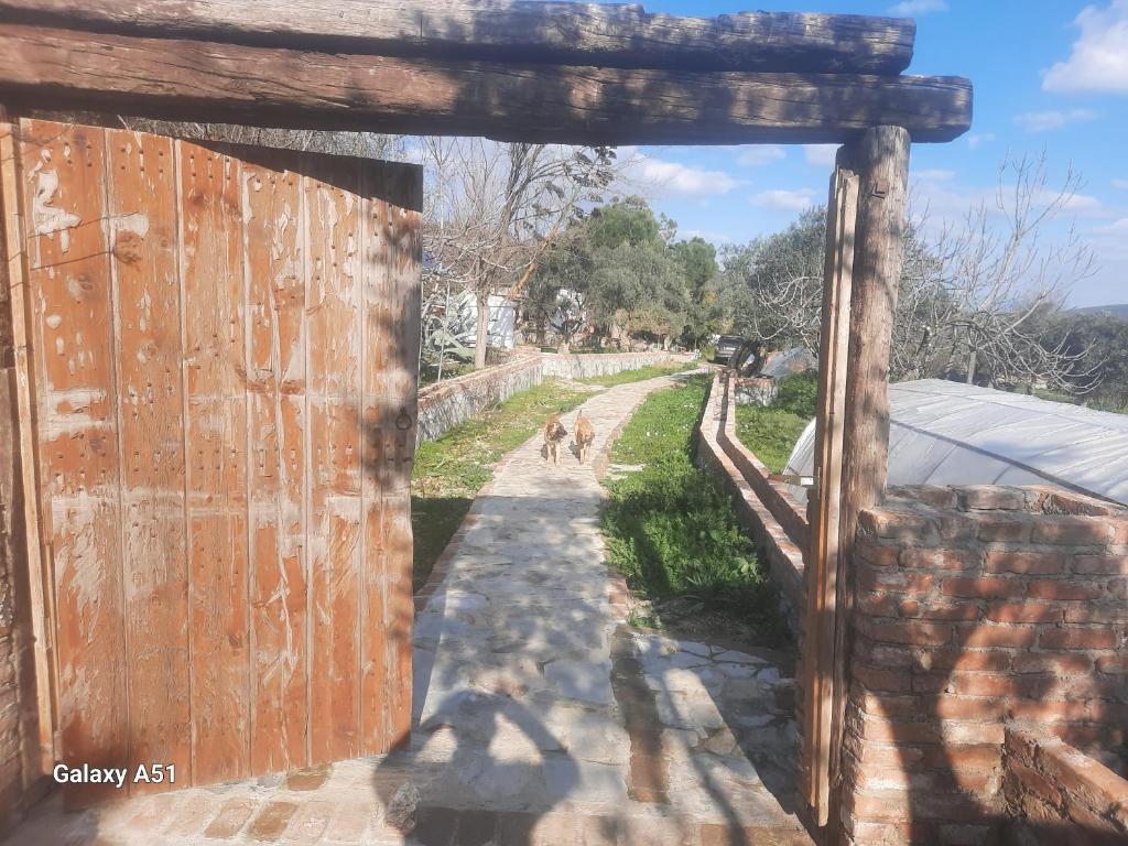 een ingang naar een hek met twee honden die over een onverharde weg lopen bij Ali dede kamp karavan bungalow in Kuşadası