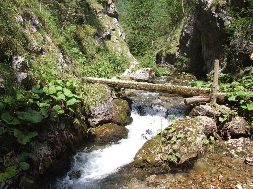 Príroda v okolí apartmánu