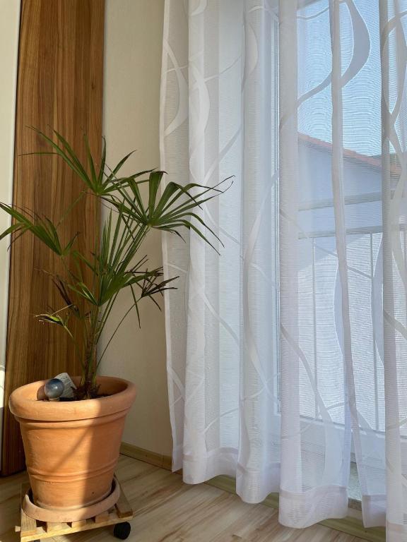 Fotografie z fotogalerie ubytování Apartment Salvete v destinaci Sulzbach-Rosenberg