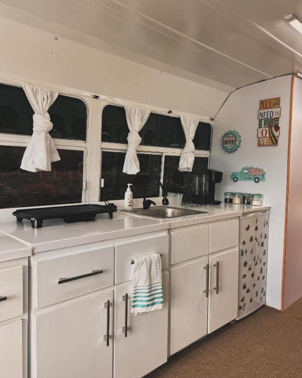 Kuchyň nebo kuchyňský kout v ubytování Glamping Bus Los Lirios