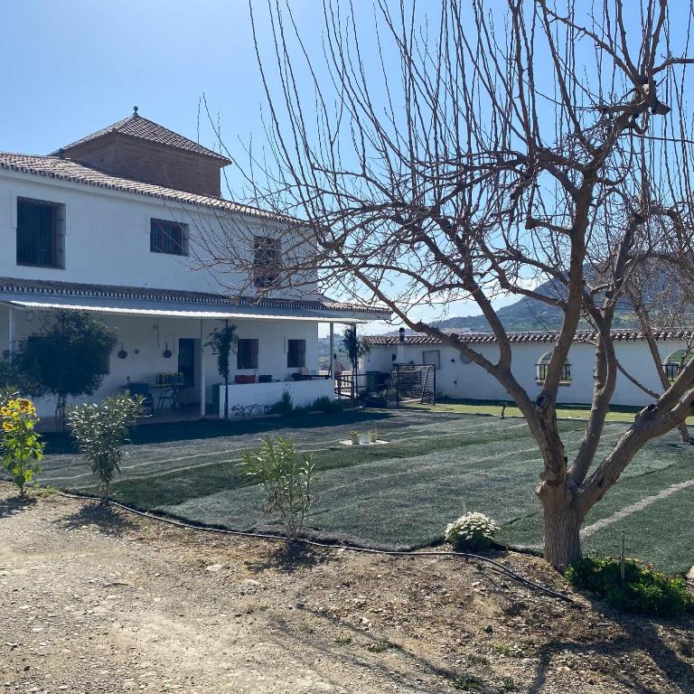 Príroda v okolí vily