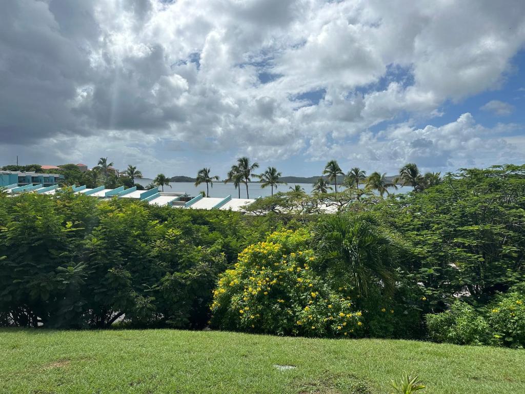 Secret Harbour Beach Resort photo