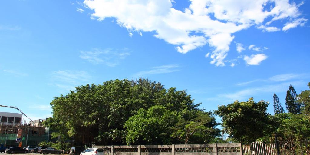 a blue sky with clouds and trees and a fence at Fu Taitung Homestay in Taitung City