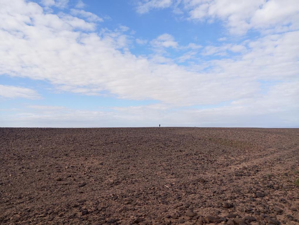 an open field with a person in the distance at dar Brahim in Mhamid