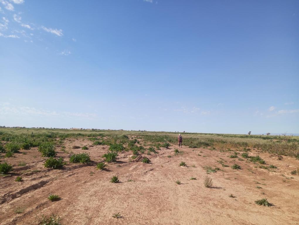 a person standing in the middle of a field at dar Brahim in Mhamid