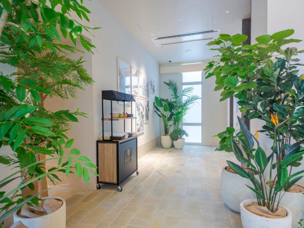 那霸冲绳那霸旭桥托丽芙特酒店的相册照片
