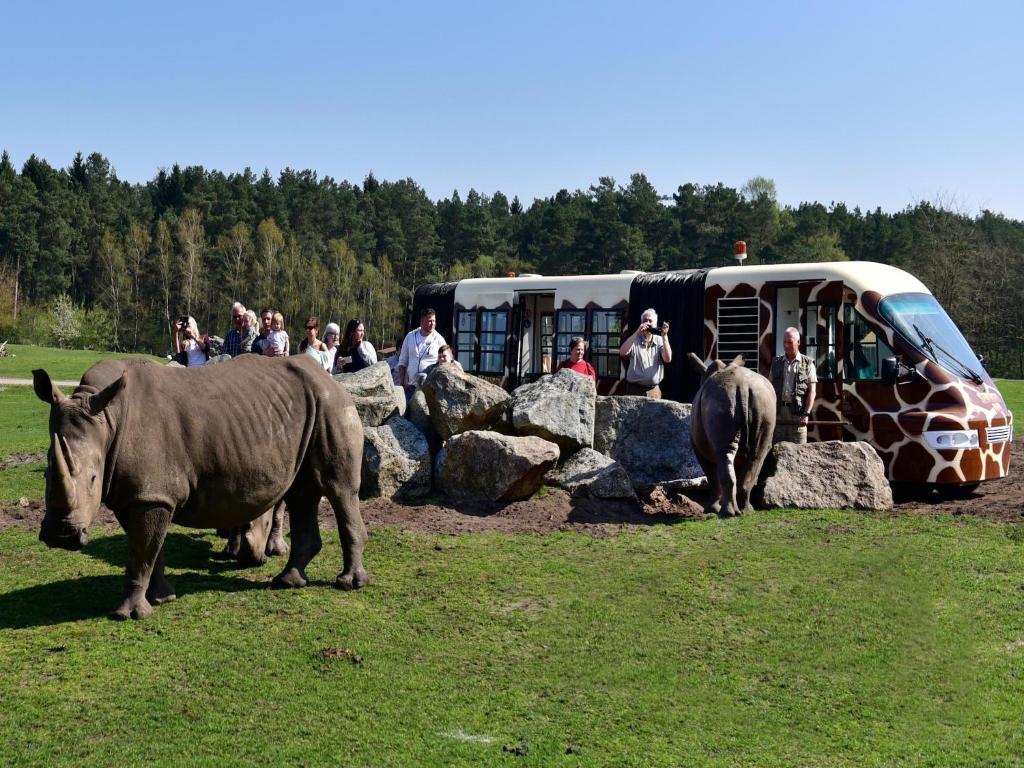 Zvířata v luxury tent nebo okolí