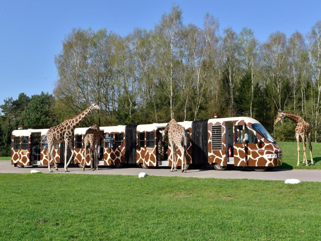 Fotografie z fotogalerie ubytování Zelte im Safari Park Hodenhagen v destinaci Hodenhagen
