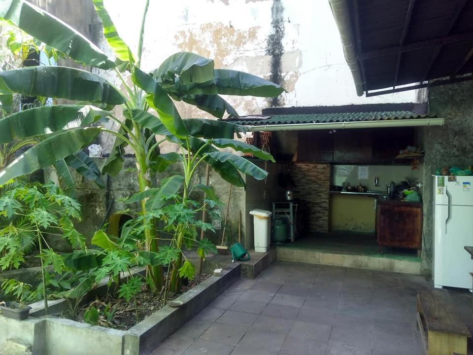 Zahrada ubytování Fusion Guesthouse