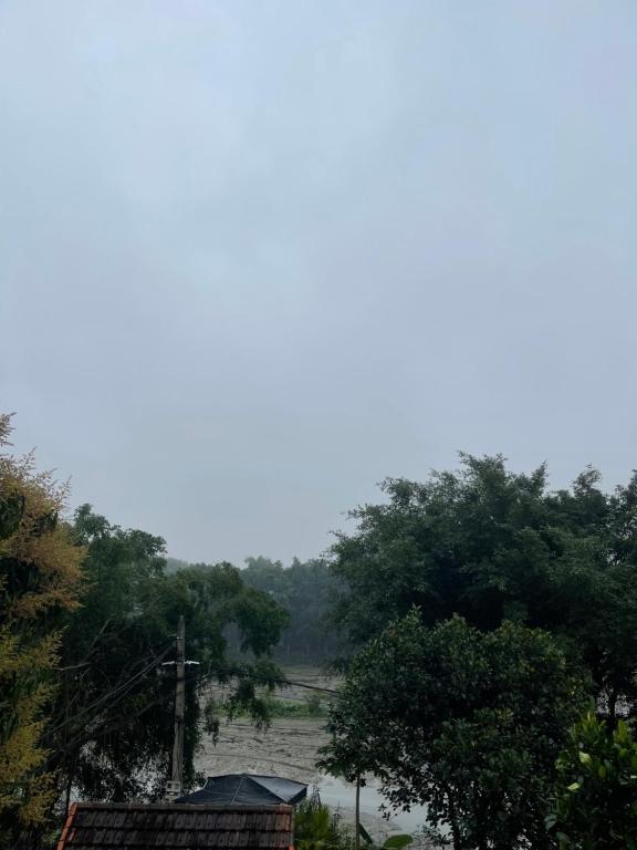 una vista de un campo con árboles y una casa en Chu hostel Tam Coc, en Vũ Lâm