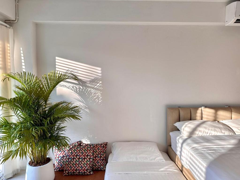 Sirin Cozy Nimman - Resim 11