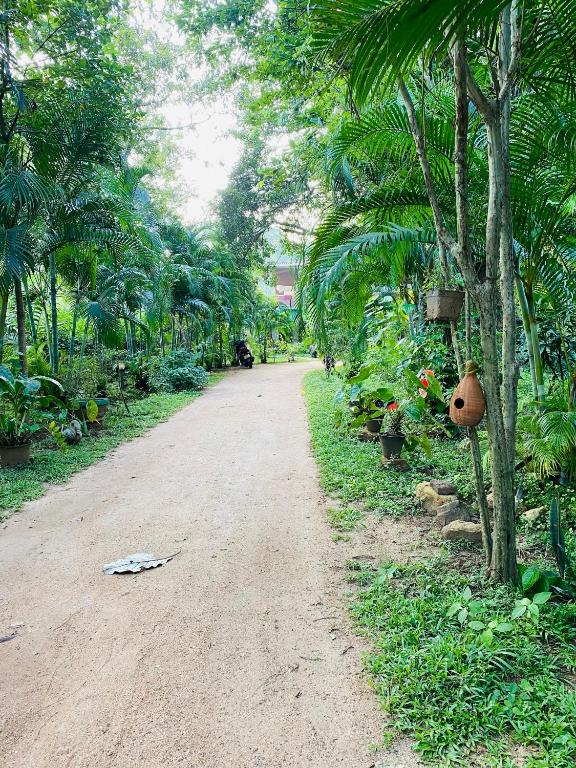 Zahrada ubytování Sigiriya Ranasinghe Nature Villa