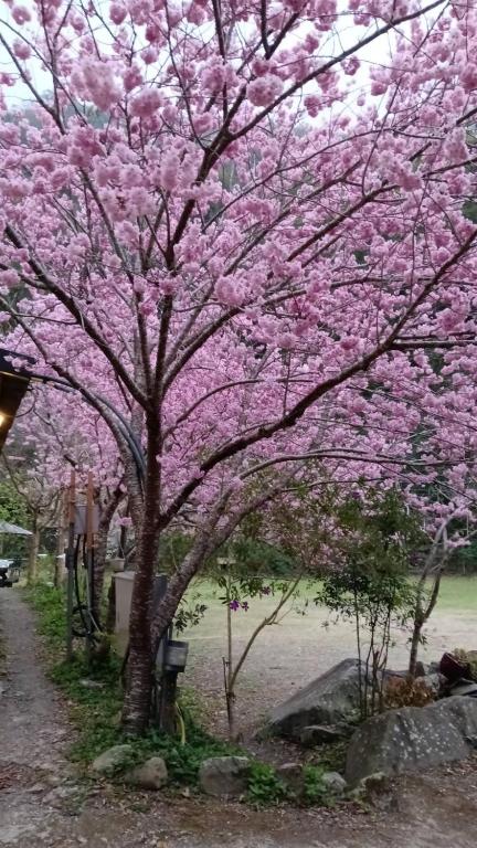 Zahrada ubytování 薔薇谷 民宿字108號