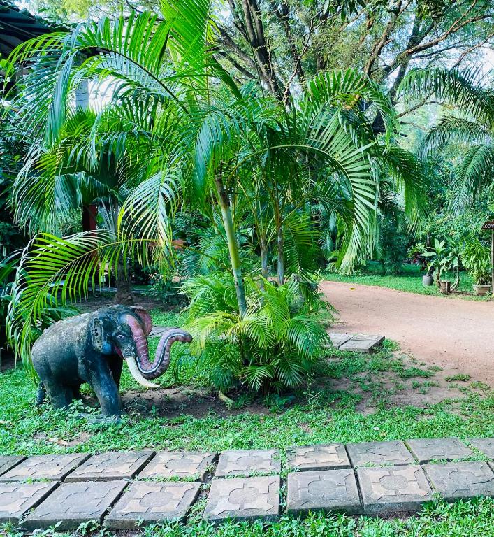 Zahrada ubytování Sigiriya Ranasinghe Nature Villa
