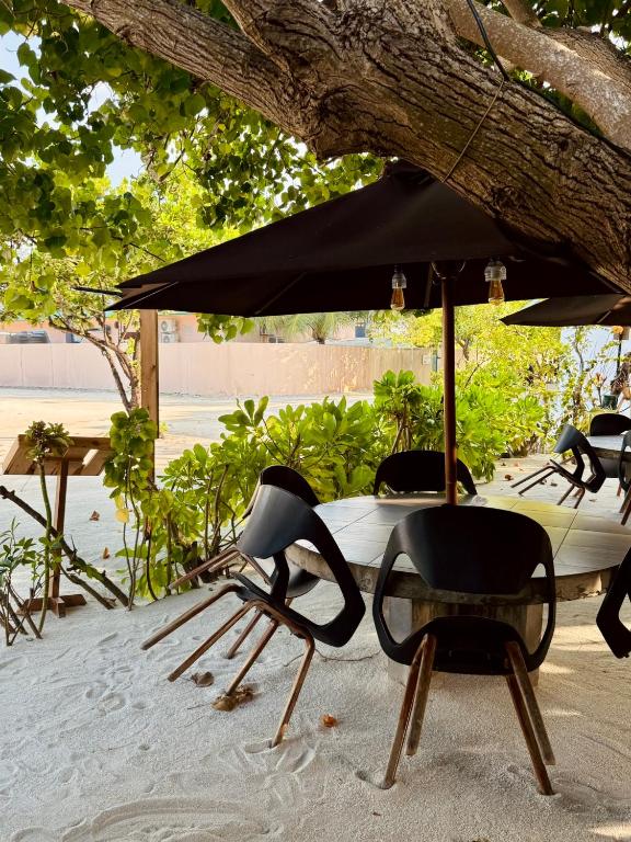 Zahrada ubytování Ameera Maldives
