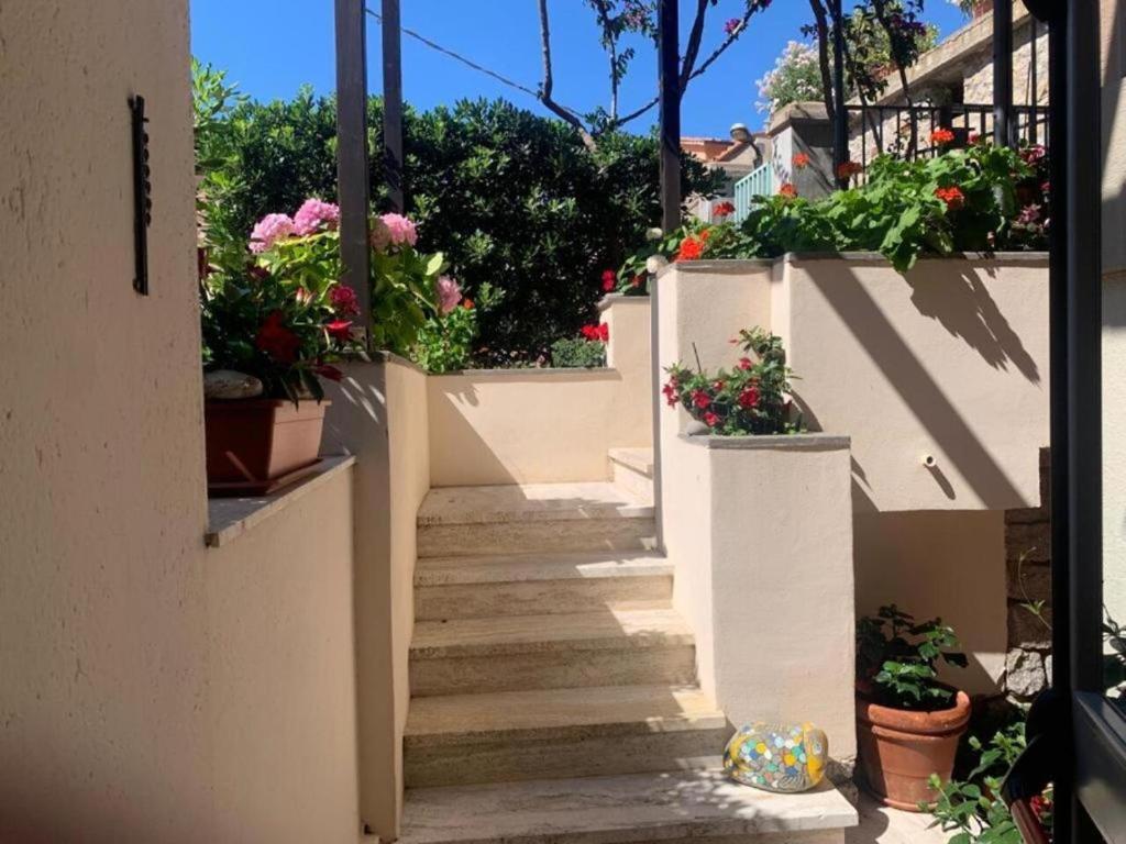 Zahrada ubytování Hotel Da Ruggero - 100m dal Porto
