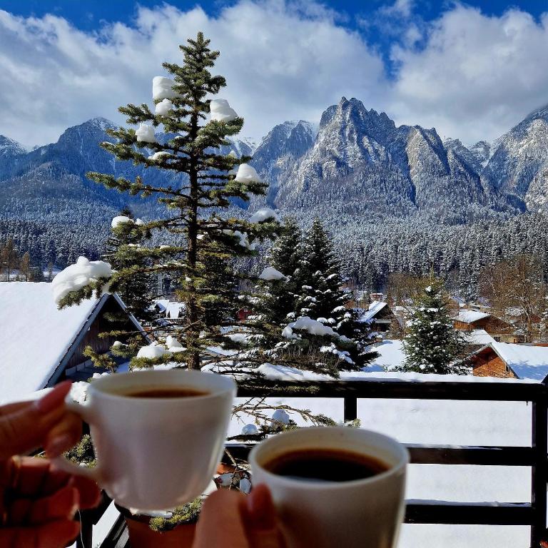 a person holding cups of coffee in front of a christmas tree at Apartament Casa cu Flori de Munte in Buşteni