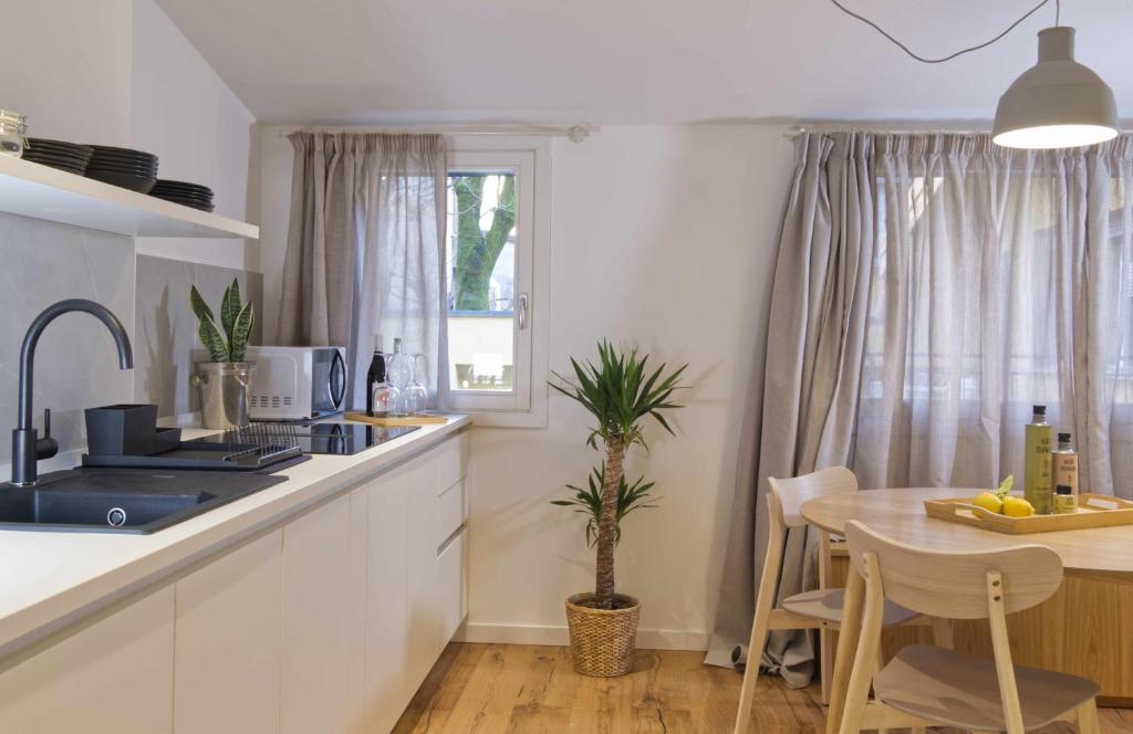 Agave in Centrale - 9