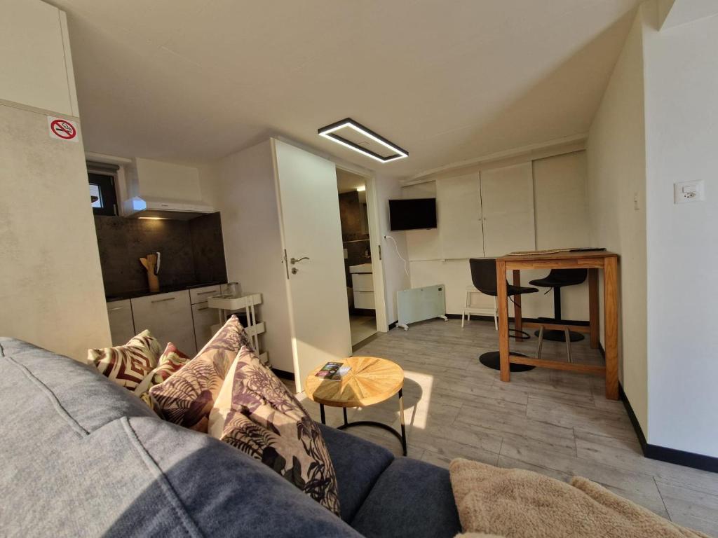 TV a/nebo společenská místnost v ubytování Le Carnotzet Tchiko minimum 2 nights Special weekly and monthly prices