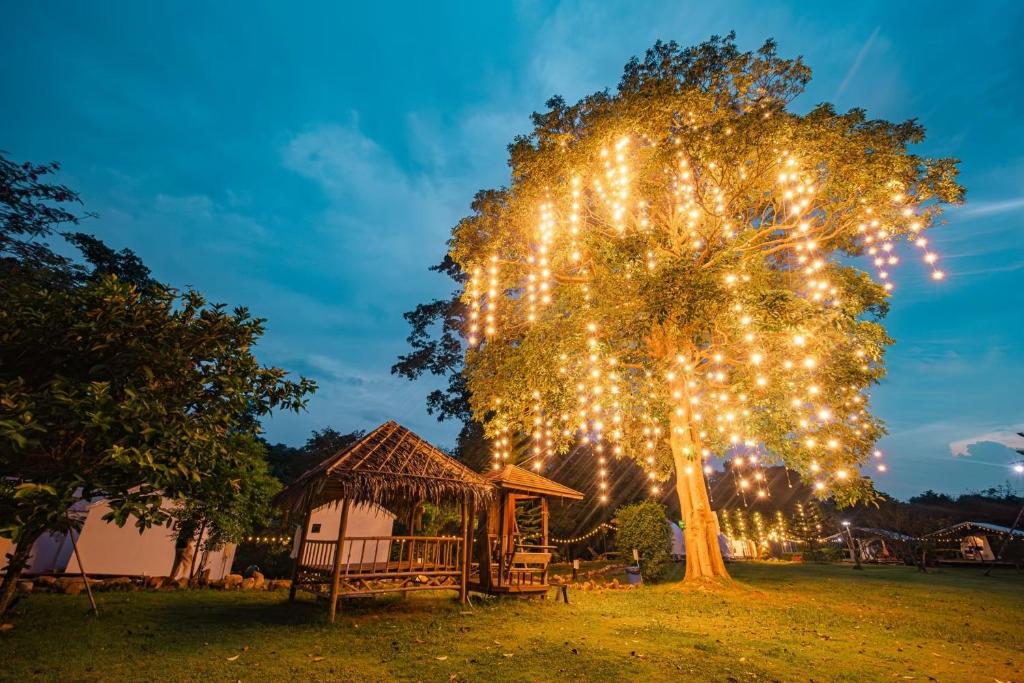 Zahrada ubytování Cha-om camping ชะอม แคมป์ปิ้ง