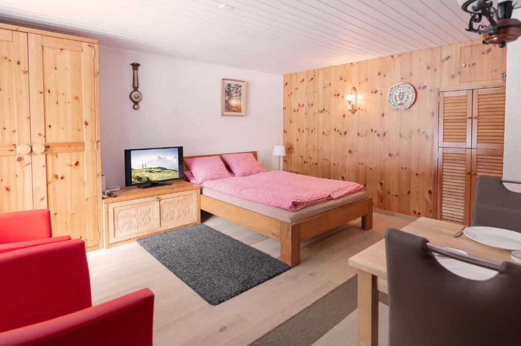 TV a/nebo společenská místnost v ubytování MOM - Alpine Boutique Apartments, Grindelwald gletscher, Eiger View Terrace Studio