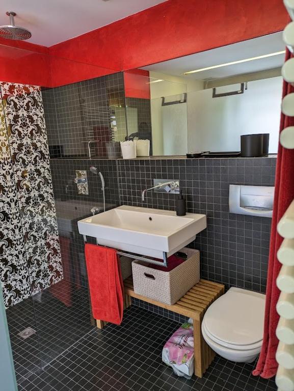 Appartement in down Town Kleinbasel - Resim 2