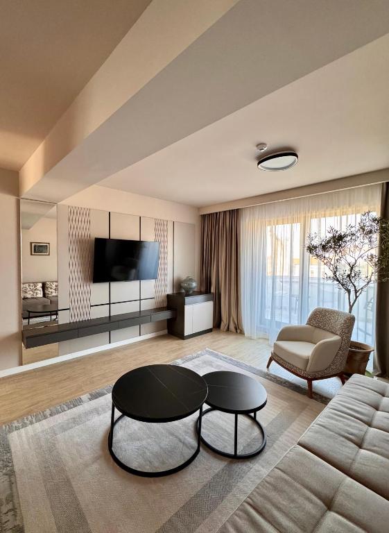 康斯坦察Tomis 11的客厅里有一张沙发和一张桌子。