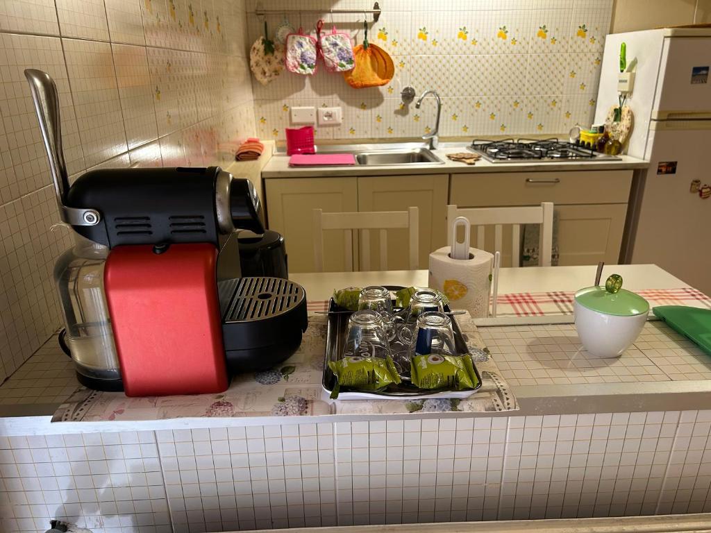 Kuchyňa alebo kuchynka v ubytovaní Casetta dei fiori