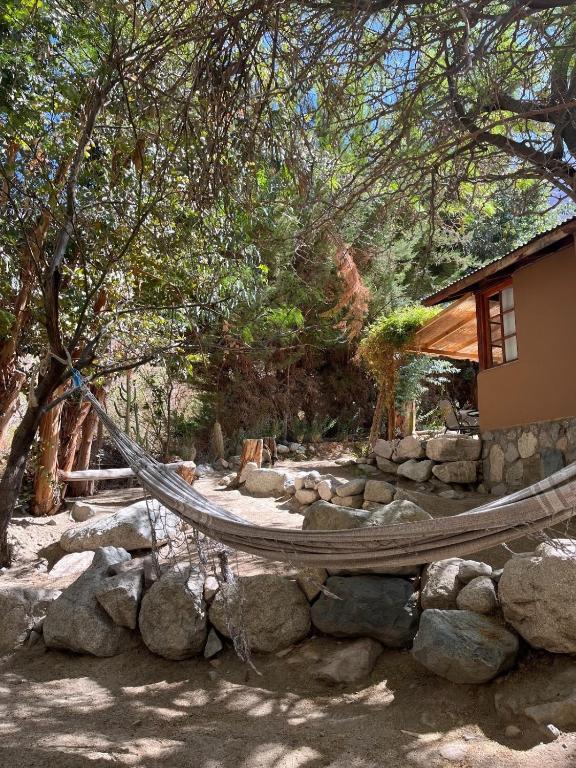 Fotografie z fotogalerie ubytování Cabañas El Albaricoque Cochiguaz v destinaci El Sanjeado
