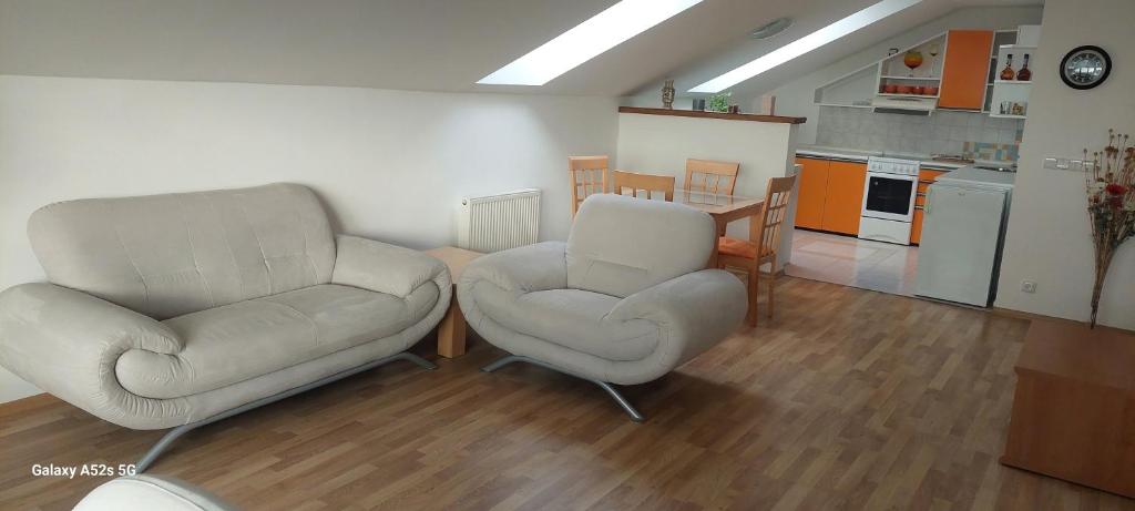 Kuchyň nebo kuchyňský kout v ubytování Apartmán 69