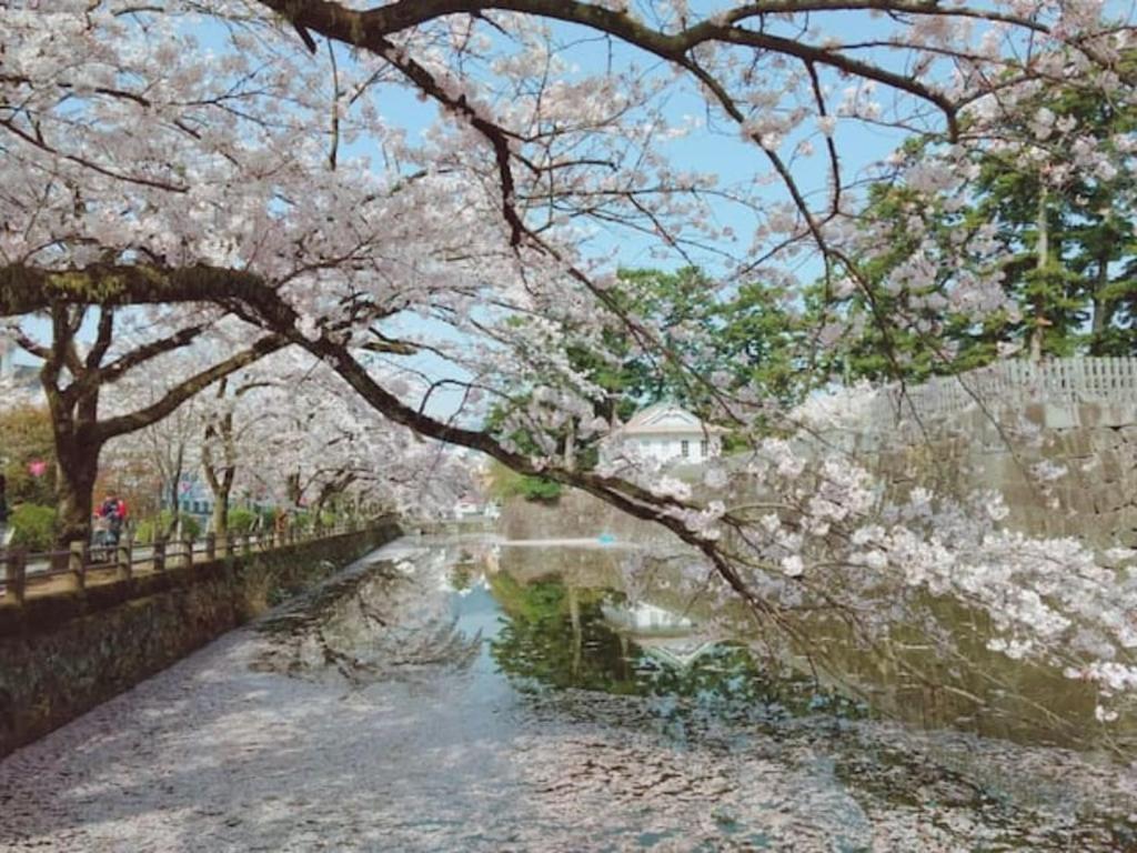 サマサマドゥア saMa-saMa Dua（小田原市）：（最新料金：2026年）