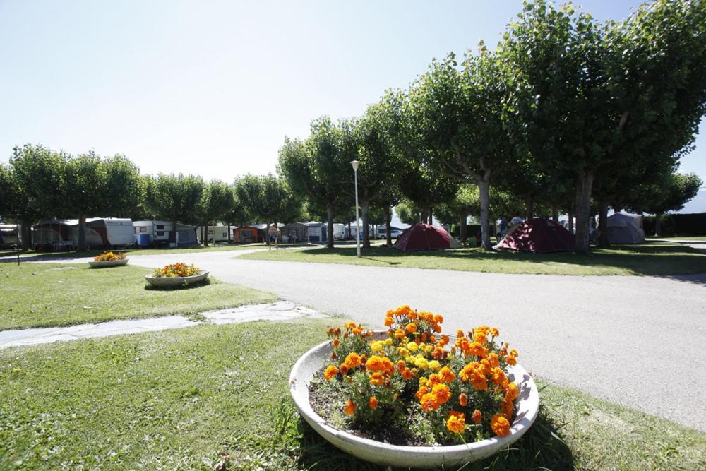 Zahrada ubytování Bungalows Pirineus