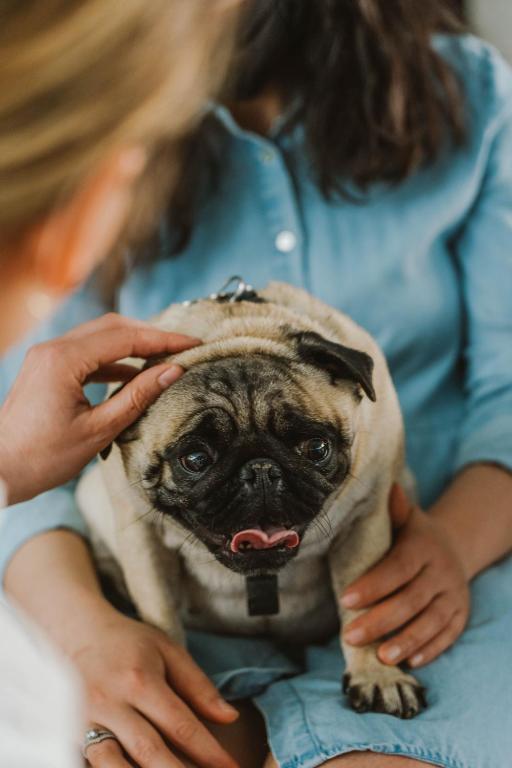 PURO Wroclaw Stare Miasto - Resim 13